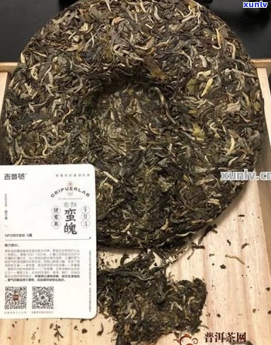 吉普号普洱茶：价格，品质，口感，茶叶种类，购买渠道，泡法，收藏价值