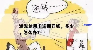 浦发信用卡逾期罚钱