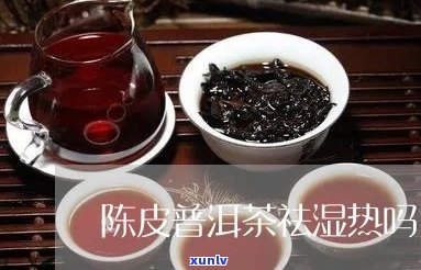 陈皮普洱茶能袪湿吗