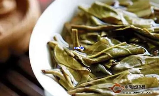 普洱茶与绿茶的不同之处：味道、功效和冲泡 *** 全面解析