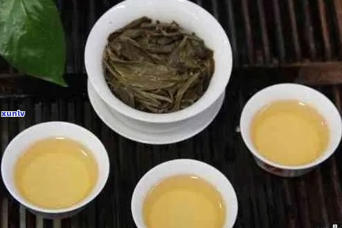 普洱茶与绿茶的不同之处：味道、功效和冲泡 *** 全面解析