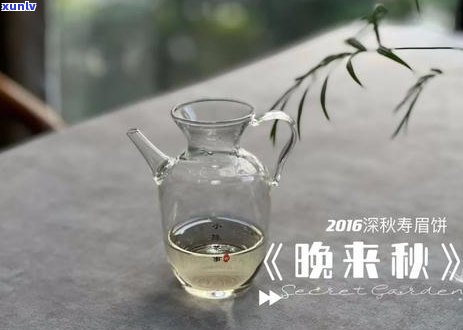 普洱茶与绿茶的口感比较：喝起来有区别吗？