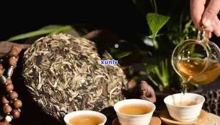 普洱茶与绿茶的不同之处：味道、功效和冲泡 *** 全面解析