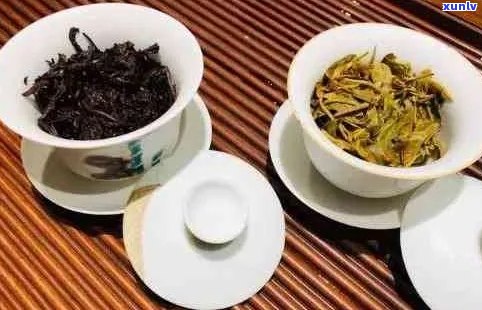 普洱茶与绿茶的口感比较：喝起来有区别吗？