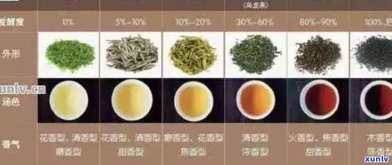 普洱茶和绿茶口感相似的原因是什么？请分享您的观点。