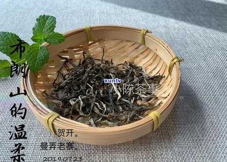 普洱茶中的绿茶风味：一款独特的茶饮体验