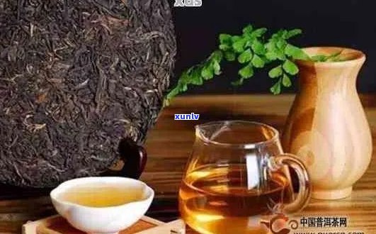 喝普洱茶是否能有效减少油脂摄入？