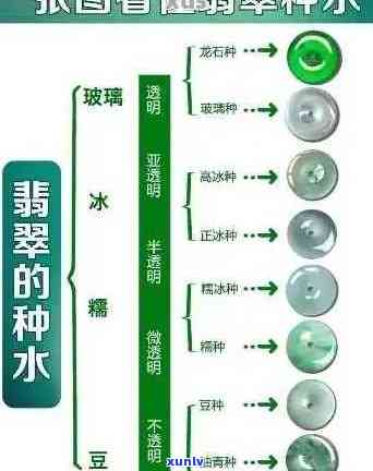 翡翠种水的详细分类大全：完整划分与表格展示