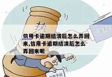 信用卡逾期让全部结清怎么办：解决办法与步骤