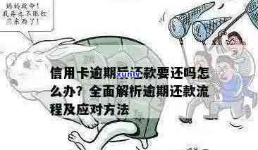 信用卡逾期还款照片要求解决全攻略：如何准备、提交及相关注意事项