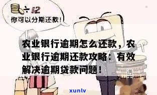 农行信用卡逾期还款，如何解决？