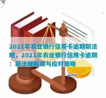 2021年农行信用卡逾期新法规：全面解读、处理流程与逾期后果解析