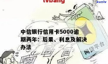 中信银行信用卡逾期还款：5000元逾期利息计算及解决方案全面解析