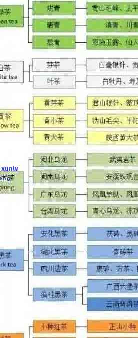 普洱茶产区全解：探究全球主要的普洱茶产地及其特点