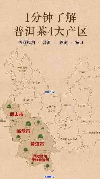 普洱茶的主要产地及其特点：哪个省份的普洱茶更受欢迎？