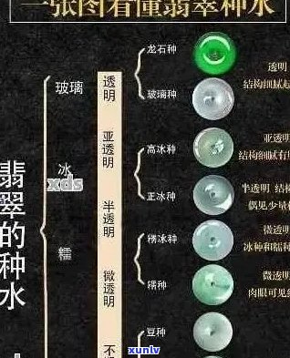 从种水到翡翠选购：全面了解翡翠品质与挑选技巧