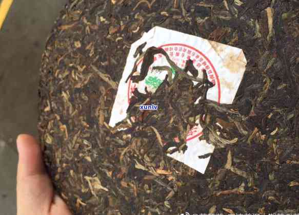 勐海县各地区普洱茶品质对比：哪里产的普洱茶？