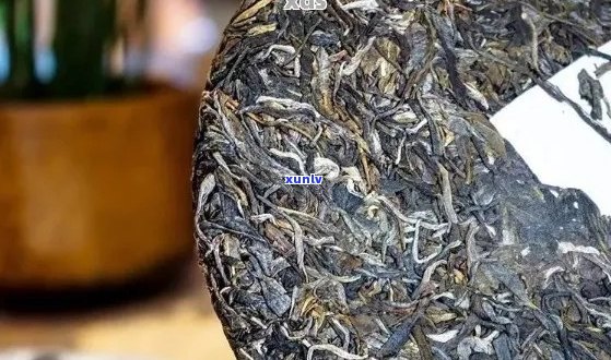 600一个普洱茶饼