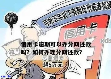 信用卡还款5天逾期怎么办？之一次逾期5天如何处理？