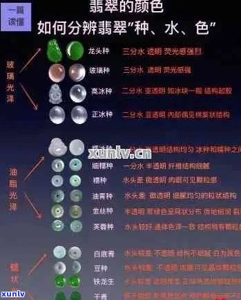 翡翠种水排名对比