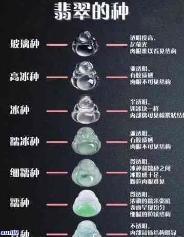 翡翠种水排名对比