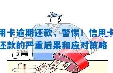 信用卡逾期还款的后果及强制负债解决策略，全面解析您的问题