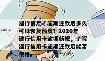 全面解决建设银行信用卡逾期问题：了解原因、影响及应对策略