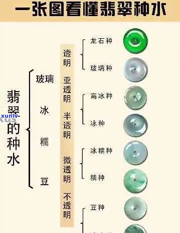 翡翠种水料是什么：价格与品质的关系解析