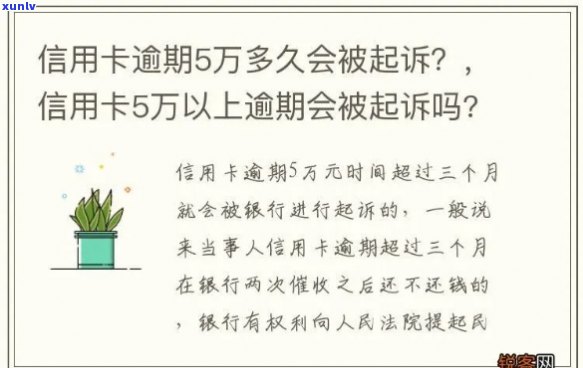 信用卡欠款5万，如何应对逾期并报案？