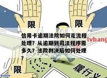 信用卡逾期超5万张主告上法庭：警示与应对策略