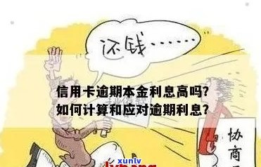 信用卡逾期还款产生高额利息，如何应对？