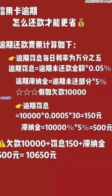 信用卡逾期还款产生高额利息，如何应对？