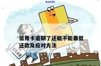 信用卡逾期后，利息会减少吗？如何降低逾期还款的费用？