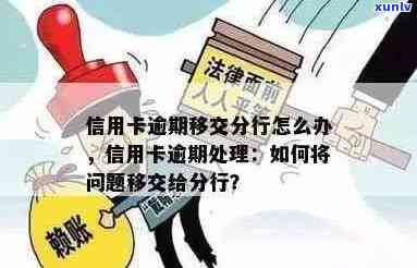 信用卡逾期移交归属地怎么办手续？