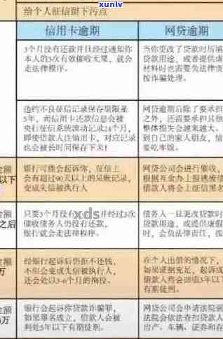 信用卡逾期限行令核查：全面解析、影响及应对措