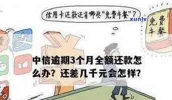 中信信用卡逾期还款时间