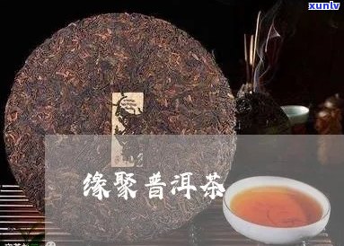 聚普缘的普洱茶好处