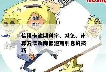 信用卡逾期利息减免攻略：如何有效降低还款压力？