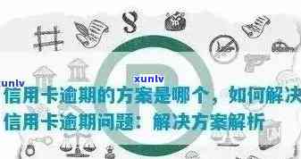 全面解决信用卡逾期处理问题的培训课程：从逾期原因到应对策略一网打尽