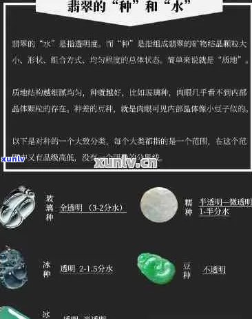 翡翠种水类型数量：全面解析与比较