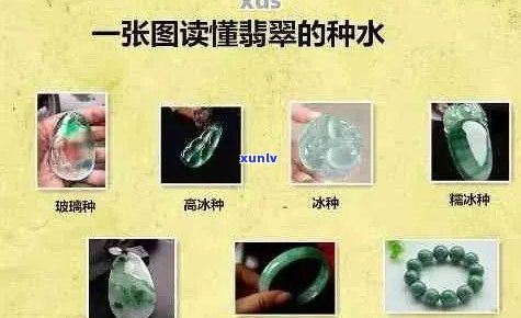 翡翠种水：专业术语解析与购买建议