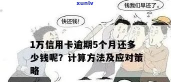 信用卡欠款6000元逾期未还款，如何规划解决方案？