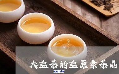 '大益茶益原素饮料简介：功效、价格、介绍与酵饮，茶晶价格一览'