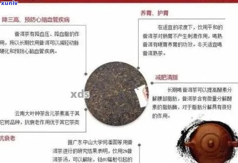 大益茶原素的功效：从科学角度解析其健益处与作用机制