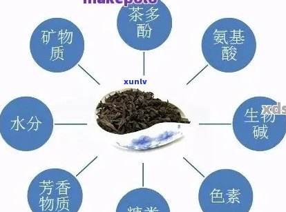 大益茶原素的功效：从科学角度解析其健益处与作用机制