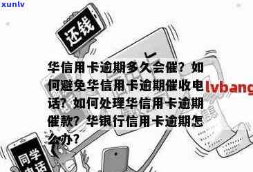 华银行信用卡逾期还款指南：如何避免逾期产生的不良影响