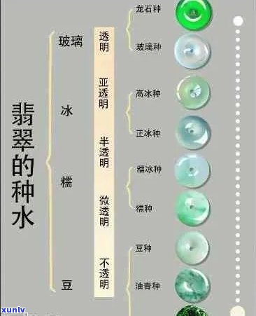 翡翠水种等级及意义——了解高品质翡翠的关键元素