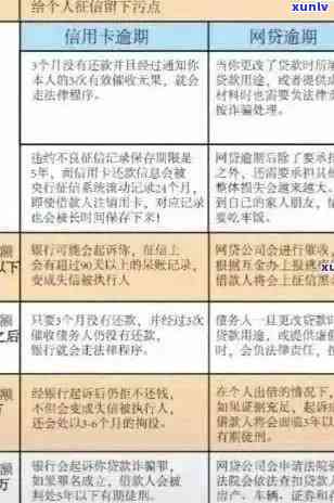 全国信用卡逾期现象全面解析：原因、影响与解决方案，助您避免逾期风险