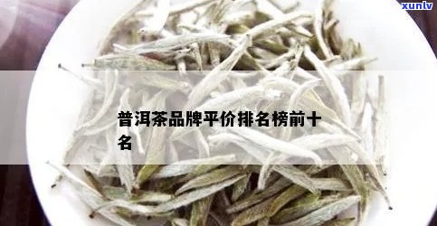 普洱茶十大绿茶排名