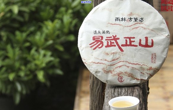 易武正山小树普洱茶